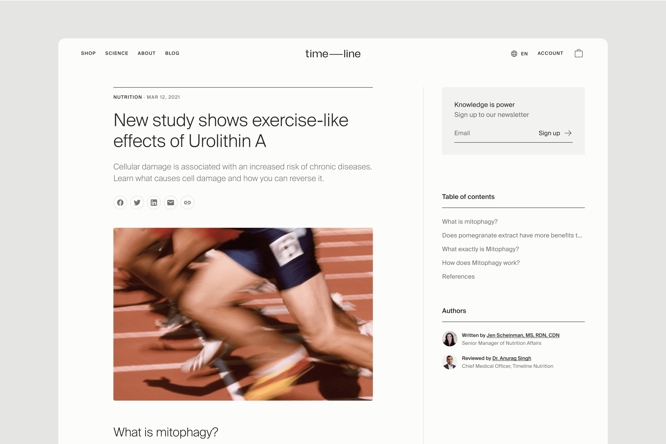 Timeline — Article